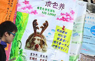 Special: Singles Day of the Century