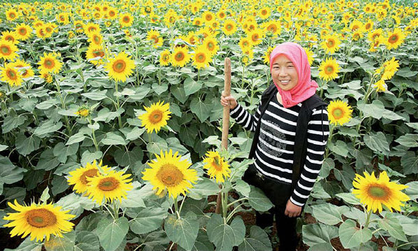 Thinking small begins to yield results