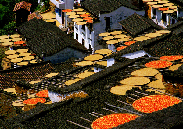 婺源:中國最美鄉(xiāng)村