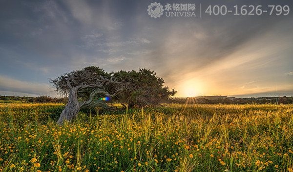 【永銘國際】解析:塞浦路斯購房移民的4個關鍵點
