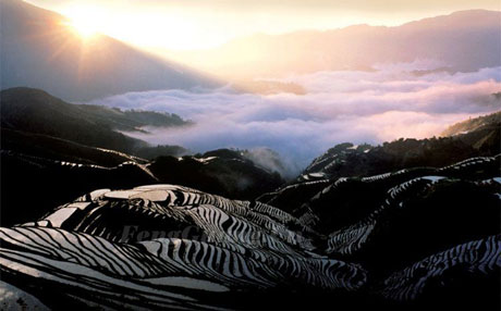 龍脊梯田 世界之冠