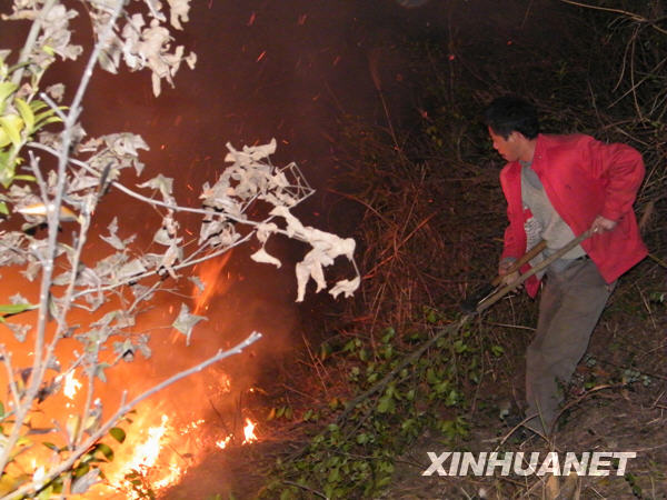 湖南省湘鄉(xiāng)發(fā)生森林大火 百畝森林被燒[圖]