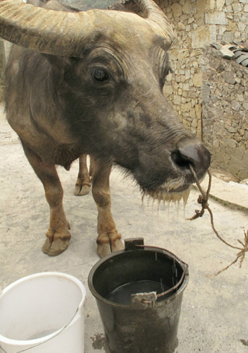 評論：大旱敲響水利建設的警鐘
