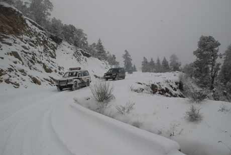 為了高原藏區(qū)的和諧安寧——云南迪慶藏族自治州中級(jí)人民法院工作紀(jì)實(shí)