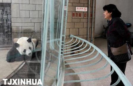 天氣轉(zhuǎn)涼暖籠舍