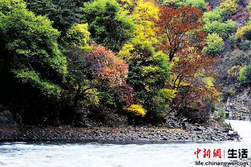 盤點(diǎn)國內(nèi)十大“秋色”