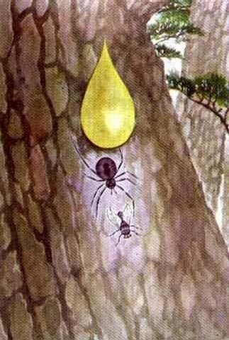 這些都看過 說明你老了！