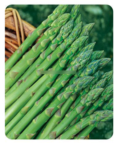 排毒功能最強的19種食物