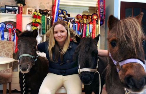 小馬被寵壞 與主人同住室內(nèi)、愛看電視(組圖)