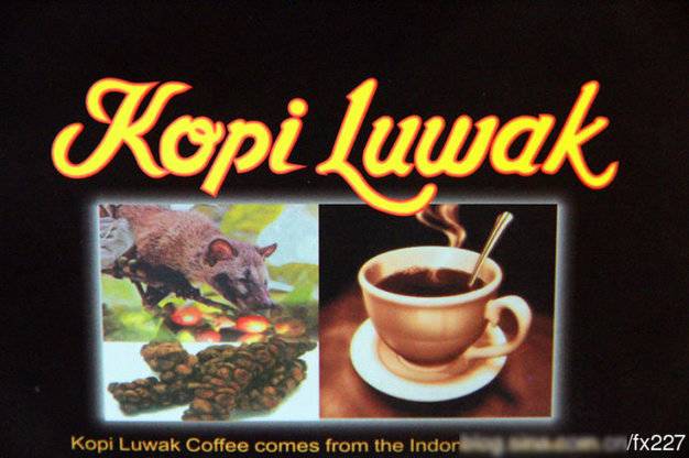 盤點動物糞便的奇妙用途