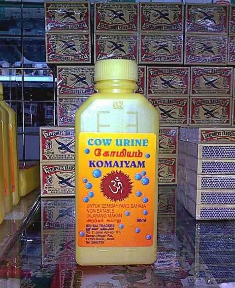 盤點動物糞便的奇妙用途