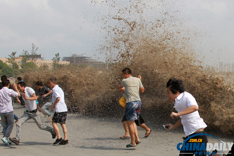 杭州：“天兔”助力 錢(qián)江潮水更“兇猛”