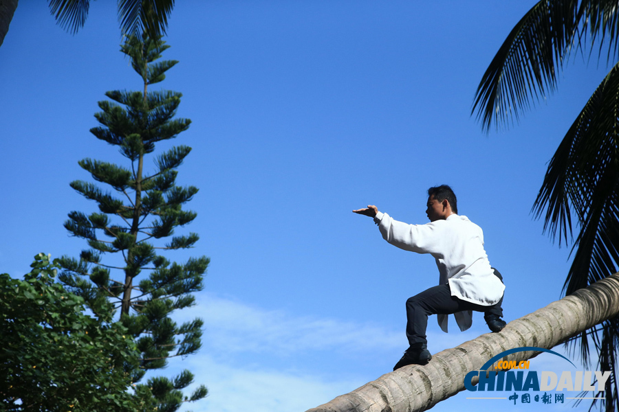 海南驚現椰子樹上練武功“神人”