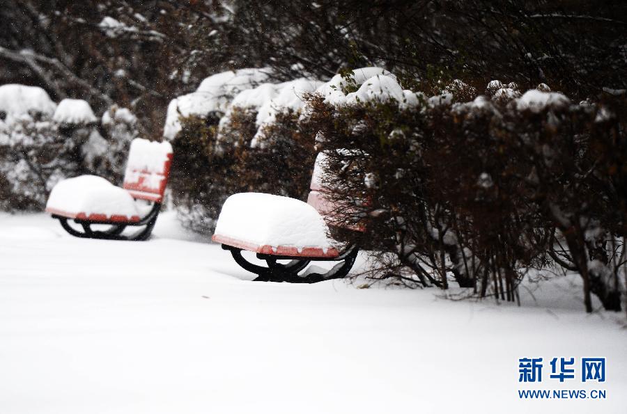 吉林黑龍江“暴雪圍城” 多地中小學19日繼續停課