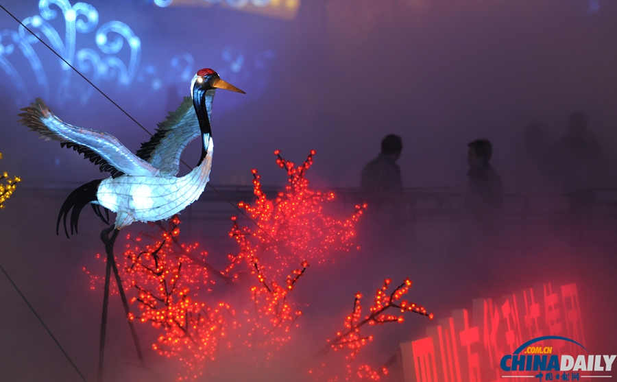 第20屆自貢燈會(huì)開園亮燈