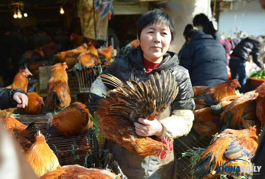 杭州主城區(qū)1月24日零時(shí)起暫?；钋萁灰? valign=