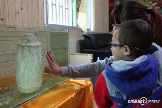 重慶城口頻現千年“神物”:銀白太歲、千年杜鵑王 圖