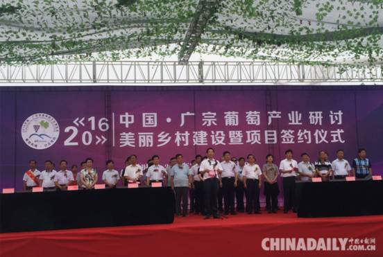 中國•廣宗首屆葡萄文化博覽會啟幕