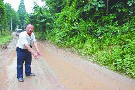 村民目擊 都江堰青城山腳出現野生花豹