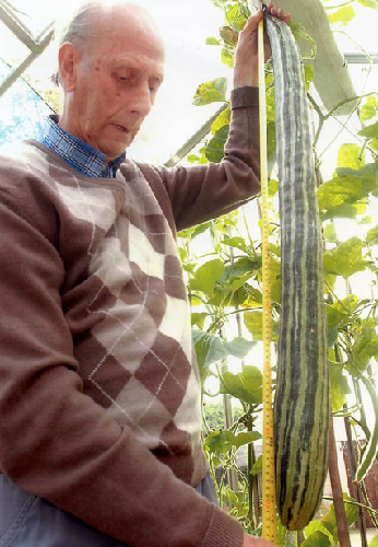 組圖：吉尼斯世界紀錄2011年版圖片精選