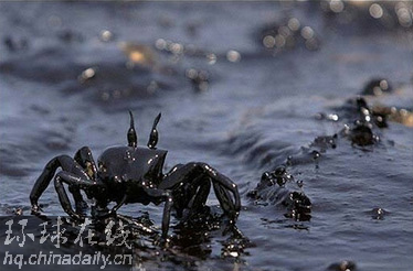 聯合國呼吁停火3天搞救援 黎遭嚴重污染