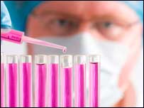 The first face transplant 首例面部移植手術