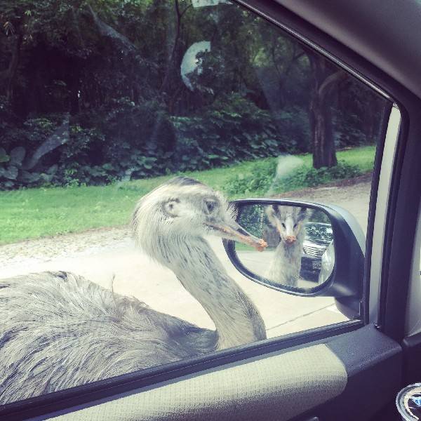 看到玻璃就想照鏡子?