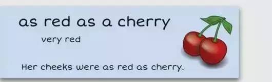 萌你一臉的生活常用諺語!