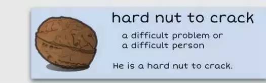 萌你一臉的生活常用諺語!