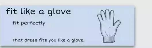 萌你一臉的生活常用諺語!