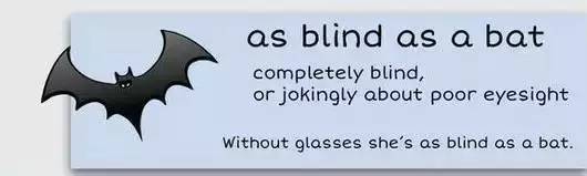 萌你一臉的生活常用諺語!