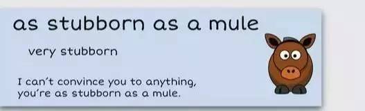 萌你一臉的生活常用諺語!