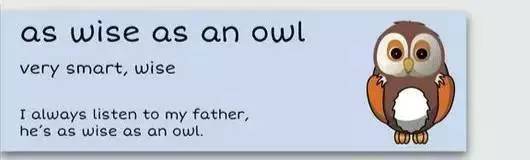 萌你一臉的生活常用諺語!