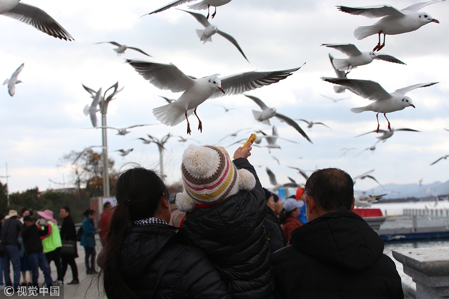 春節不知道去哪玩？國內十大熱門城市走起！（組圖）
