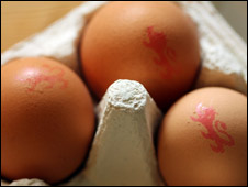 Connected Speech 連讀