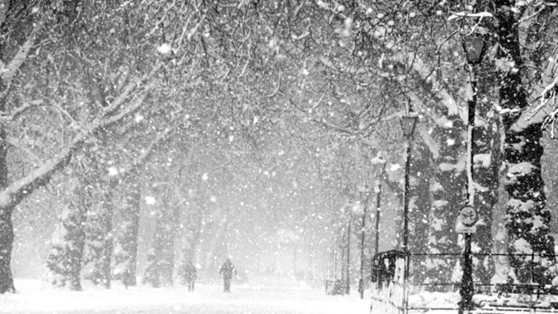 Drop 和 fall 之間的區別