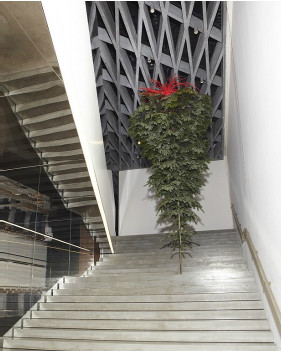 倫敦時尚:不老的圣誕樹