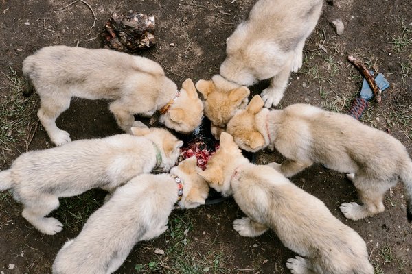 雙語盤點:2017年,我們了解到哪些科學新知?
