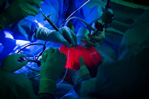 雙語盤點:2017年,我們了解到哪些科學新知?