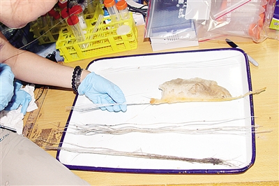 “蛟龍”探罷海山奔赴冷泉