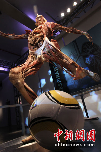 尸體“運動員”