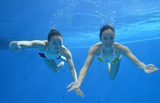 文婷姐妹拍水下婚紗照與海豚共舞